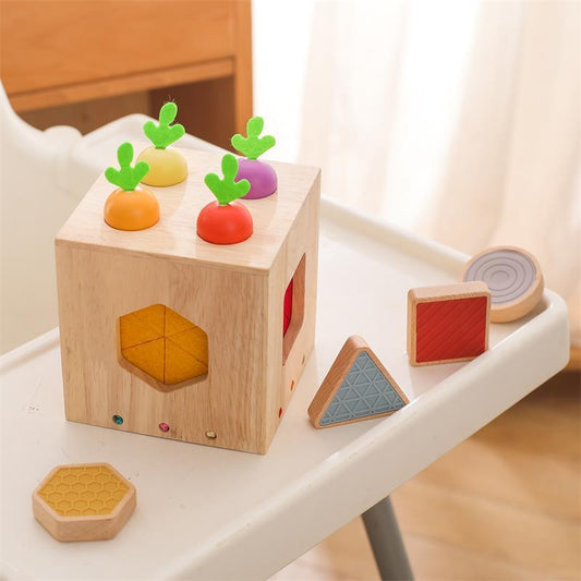 Wooden Geometric Shape Toys